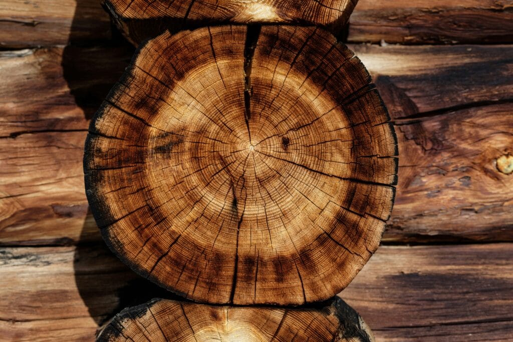 Différentes essences de bois pour l'ameublement